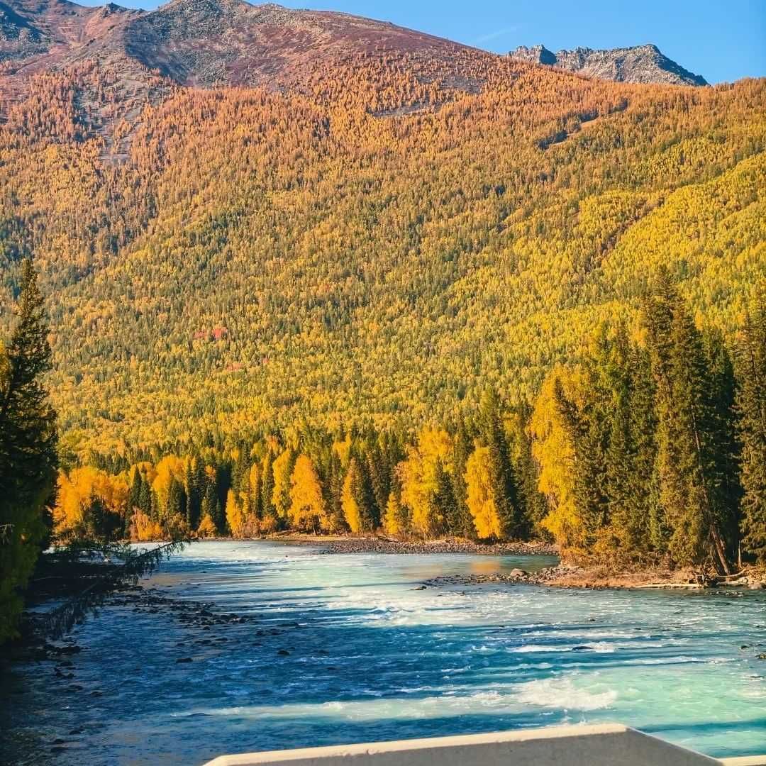 Xinjiang