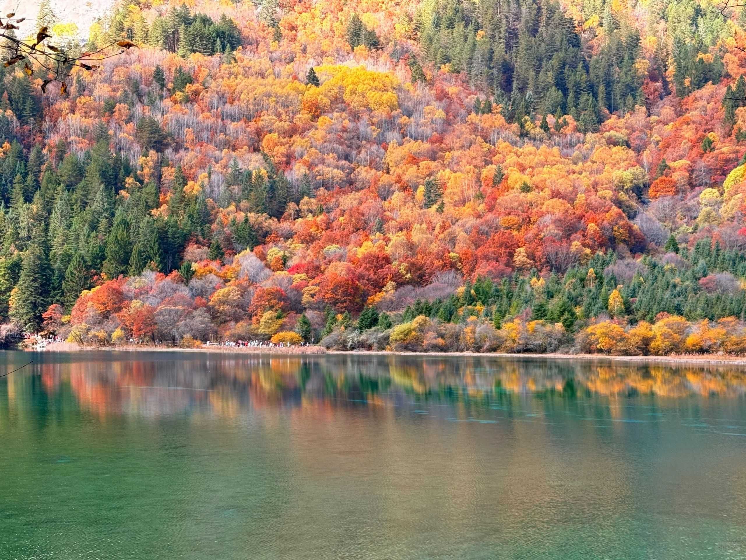 图片建议:九寨沟五花海高清实景,蓝绿色湖水、森林和远山,主体清晰,建议1200×900像素。 image_1791622091_X1Qq0H7g.jpg