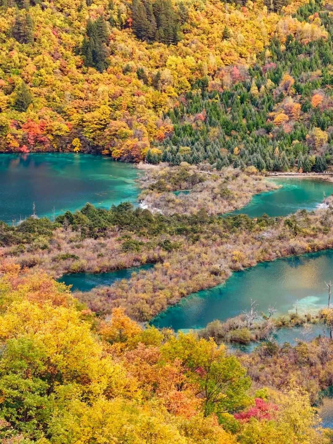 How to Get from Chengdu to Jiuzhaigou: Train, Flight & Private Transfer