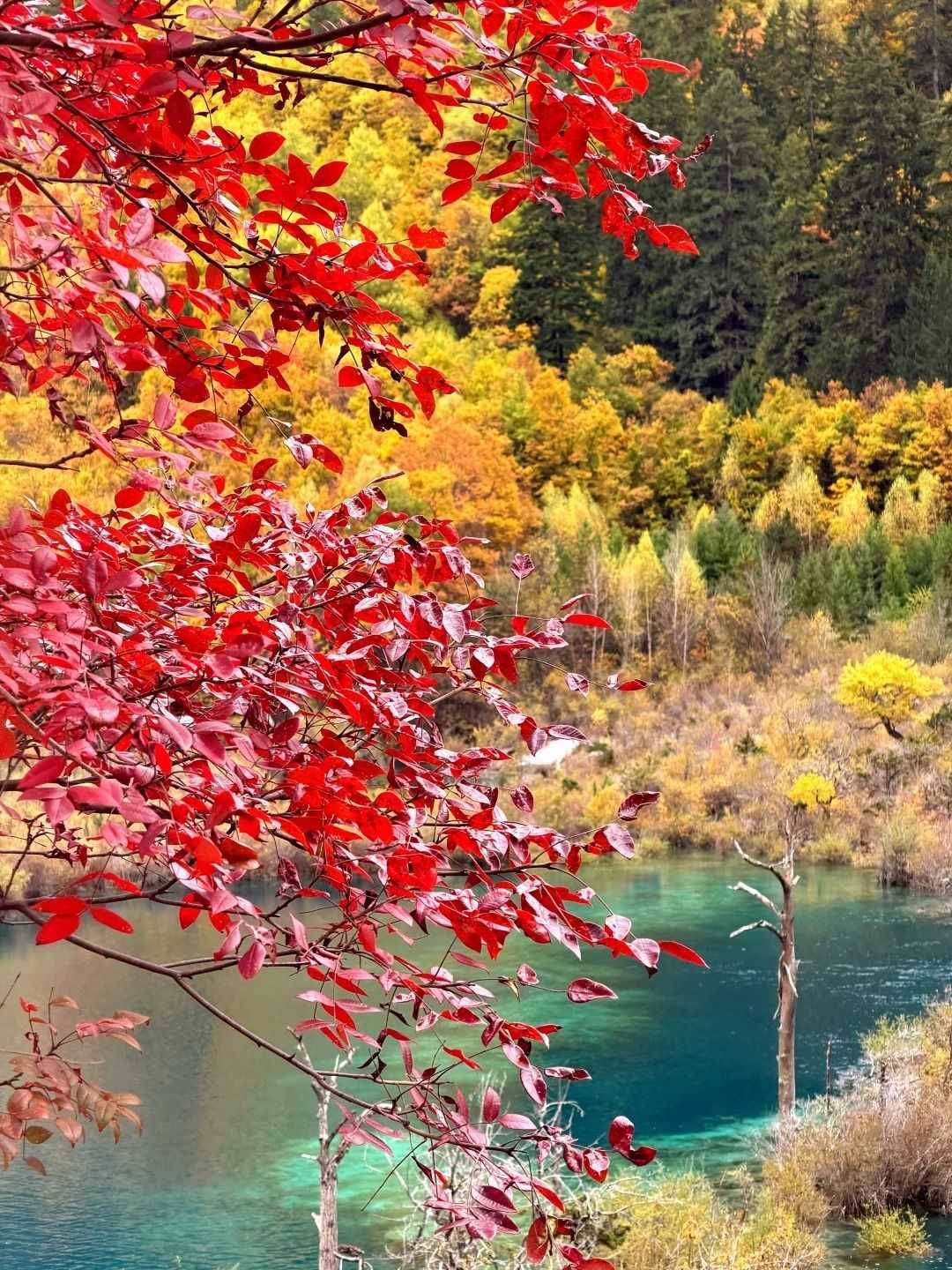 Jiuzhaigou & Huanglong Travel Guide: How Many Days Do You Need?