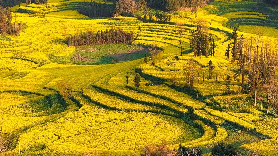 image_1792218262_f0aJshkL.jpg